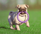E-Doggy Ringo