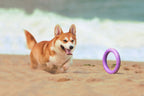 E-Doggy Ringo
