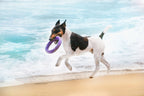 E-Doggy Ringo