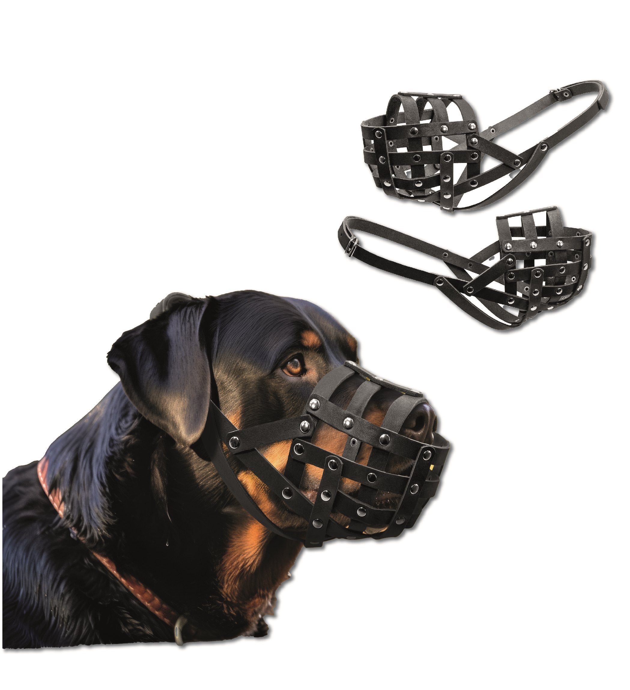 E-Doggy Piłeczka Nadoo