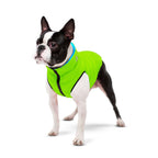 E-Doggy Kurtka Airoo