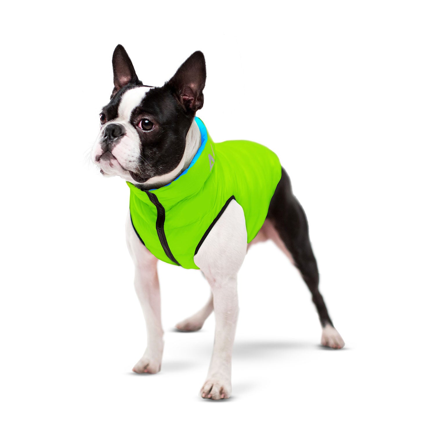 E-Doggy Kurtka Airoo