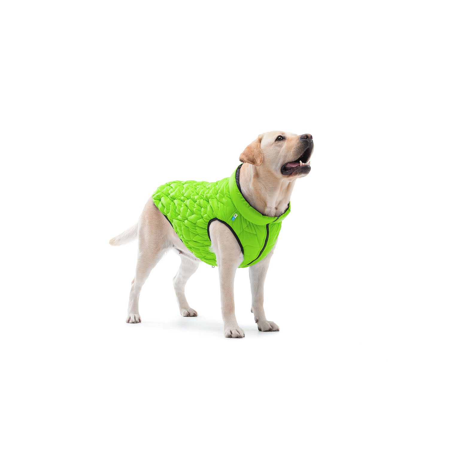 E-Doggy Kurtka Uno
