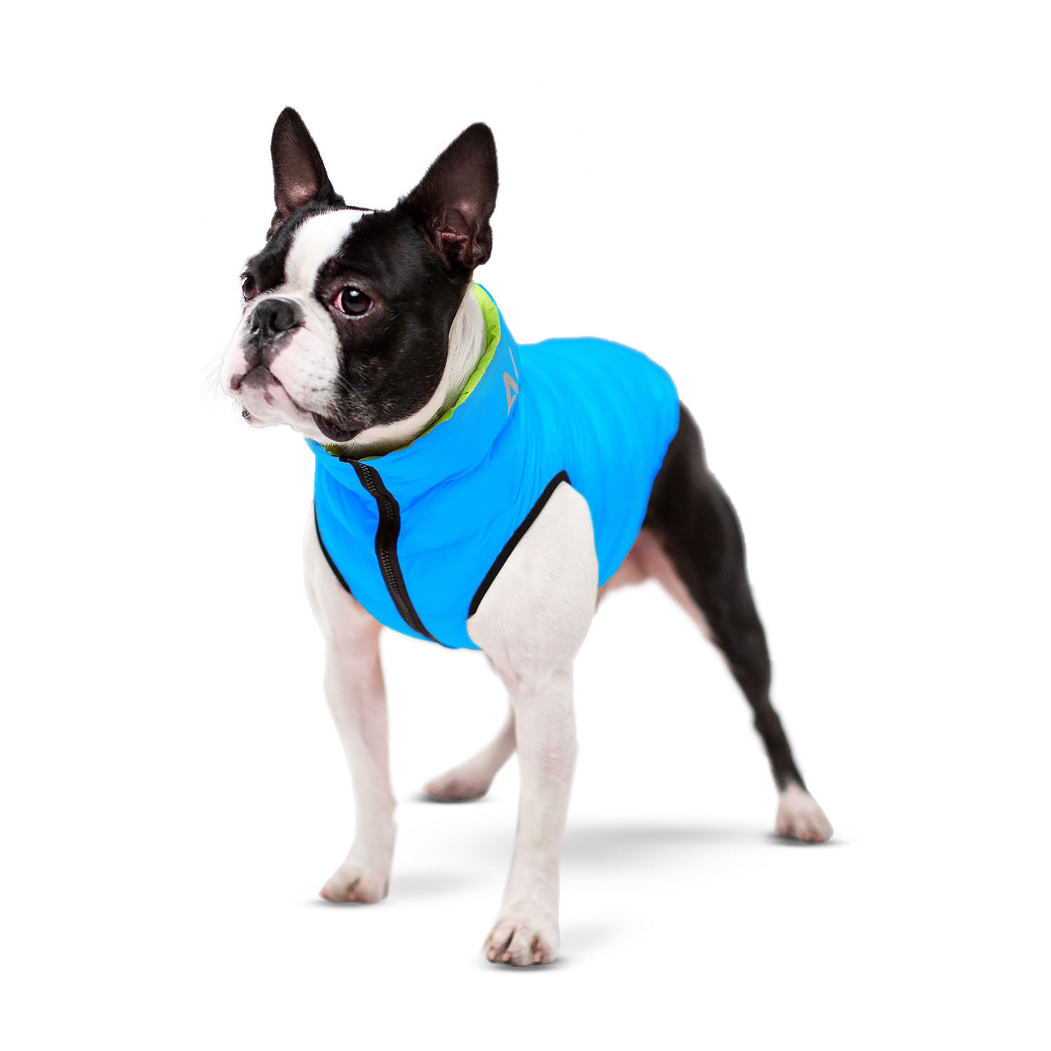 E-Doggy Kurtka Airoo
