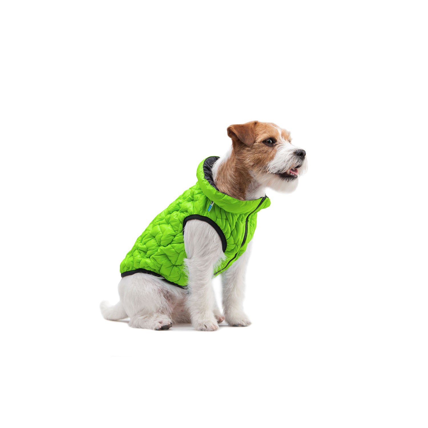 E-Doggy Kurtka Uno