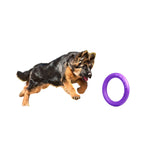 E-Doggy Ringo