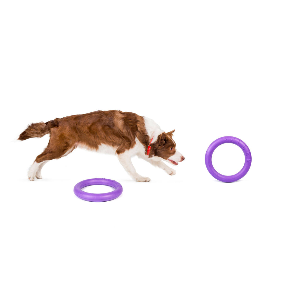 E-Doggy Ringo