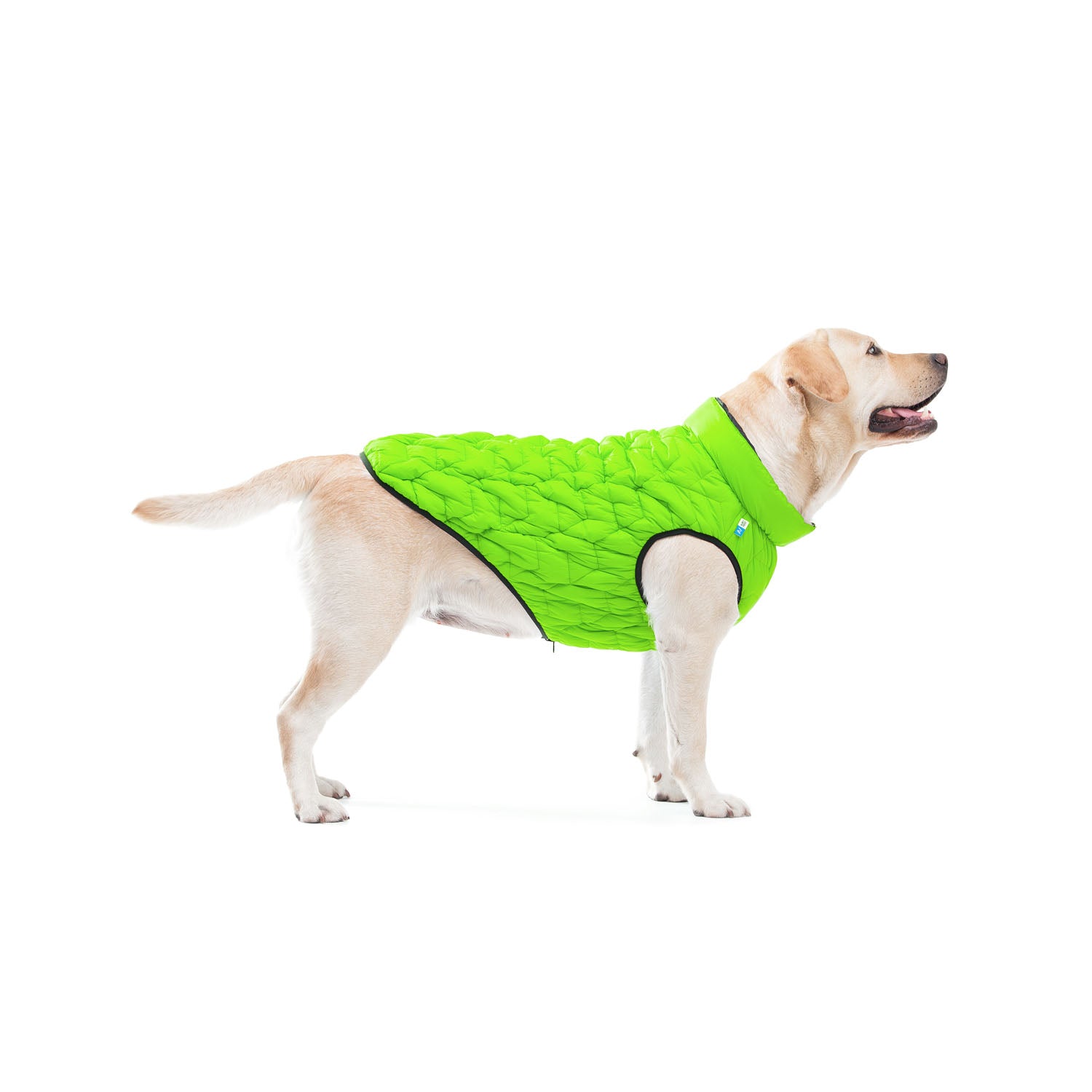 E-Doggy Kurtka Uno