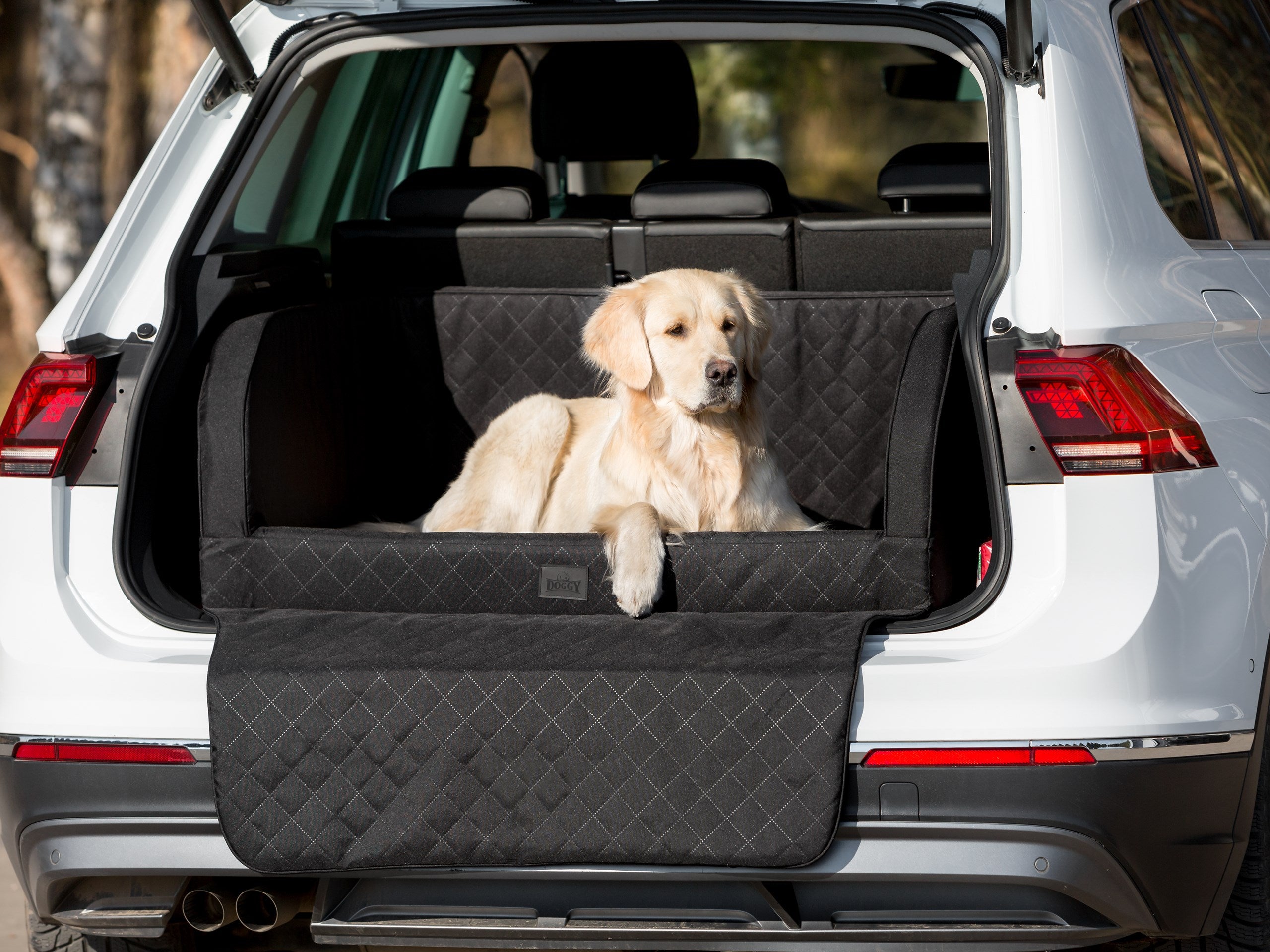 E-Doggy Transporter Rioo