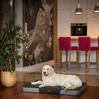 E-Doggy Materac Tidy