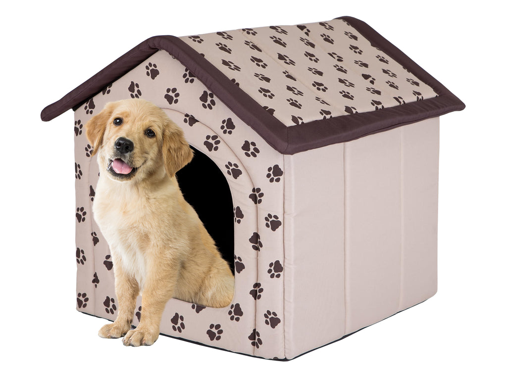 E-Doggy Buda Criboo