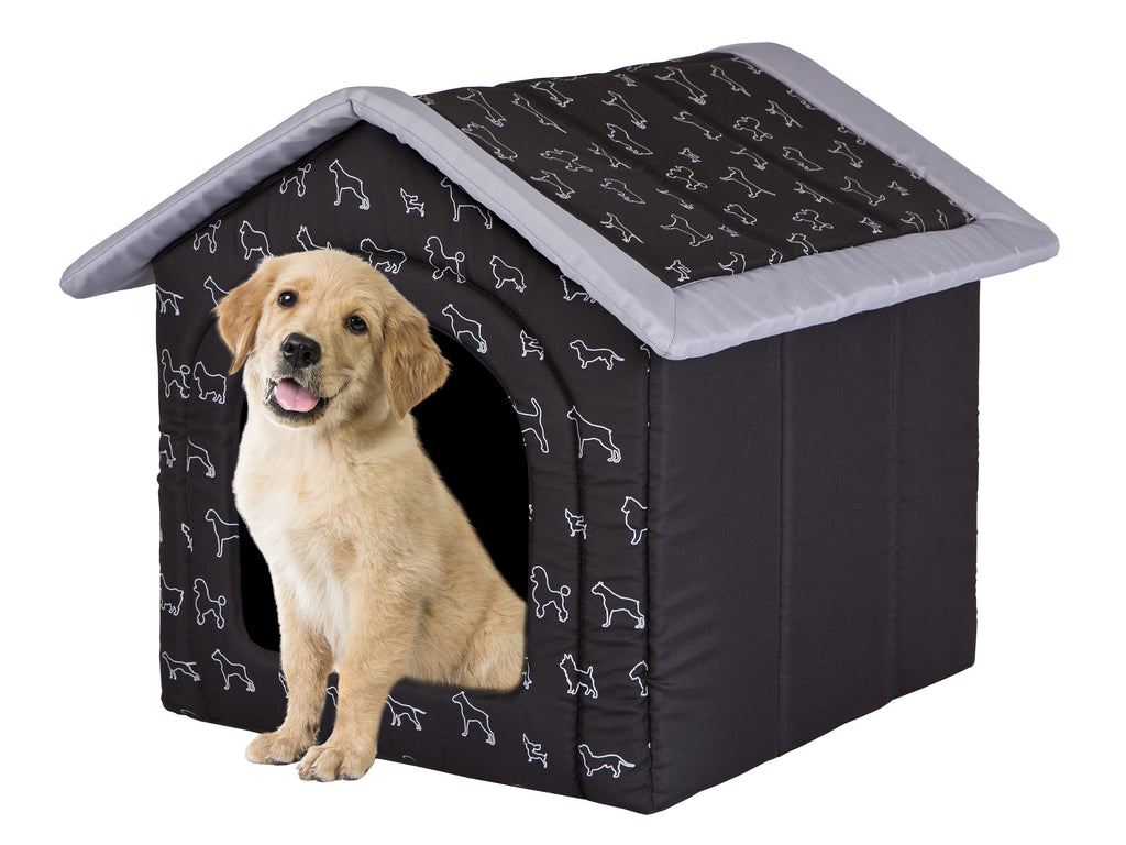 E-Doggy Buda Criboo
