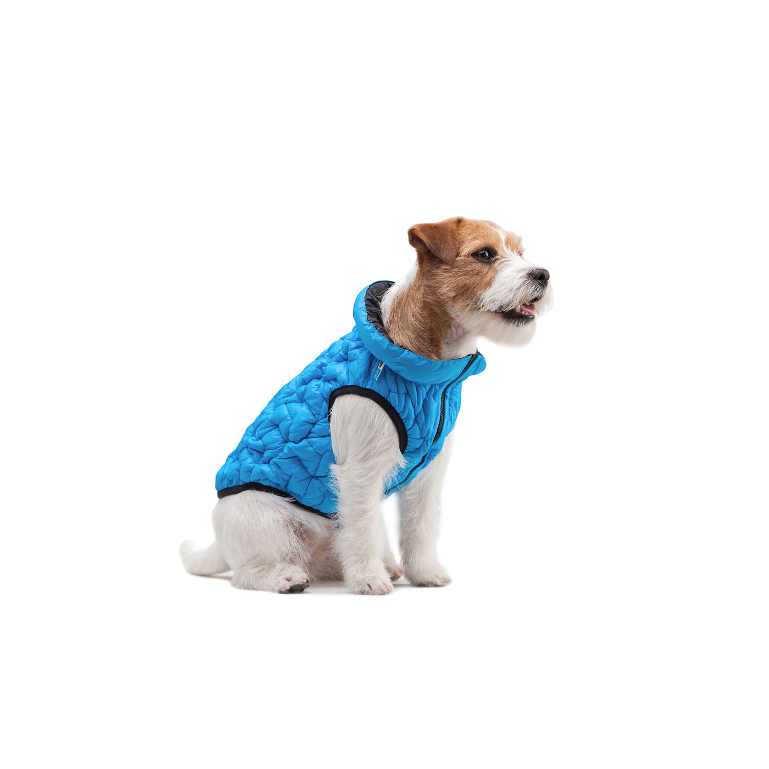 E-Doggy Kurtka Uno
