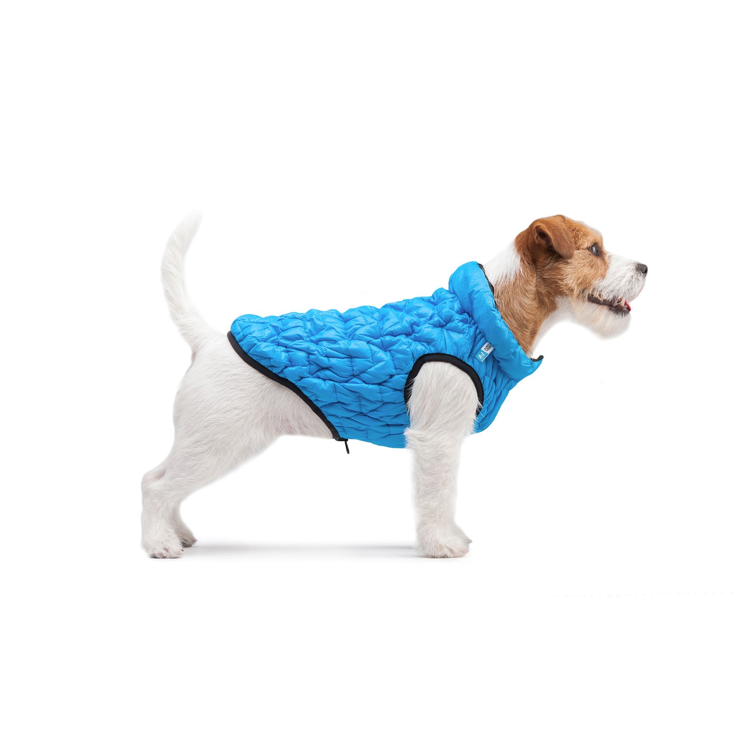 E-Doggy Kurtka Uno