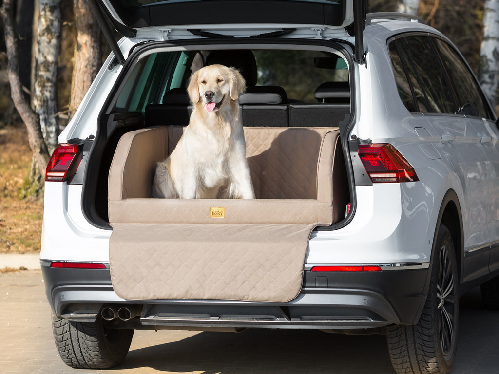 E-Doggy Transporter Rioo