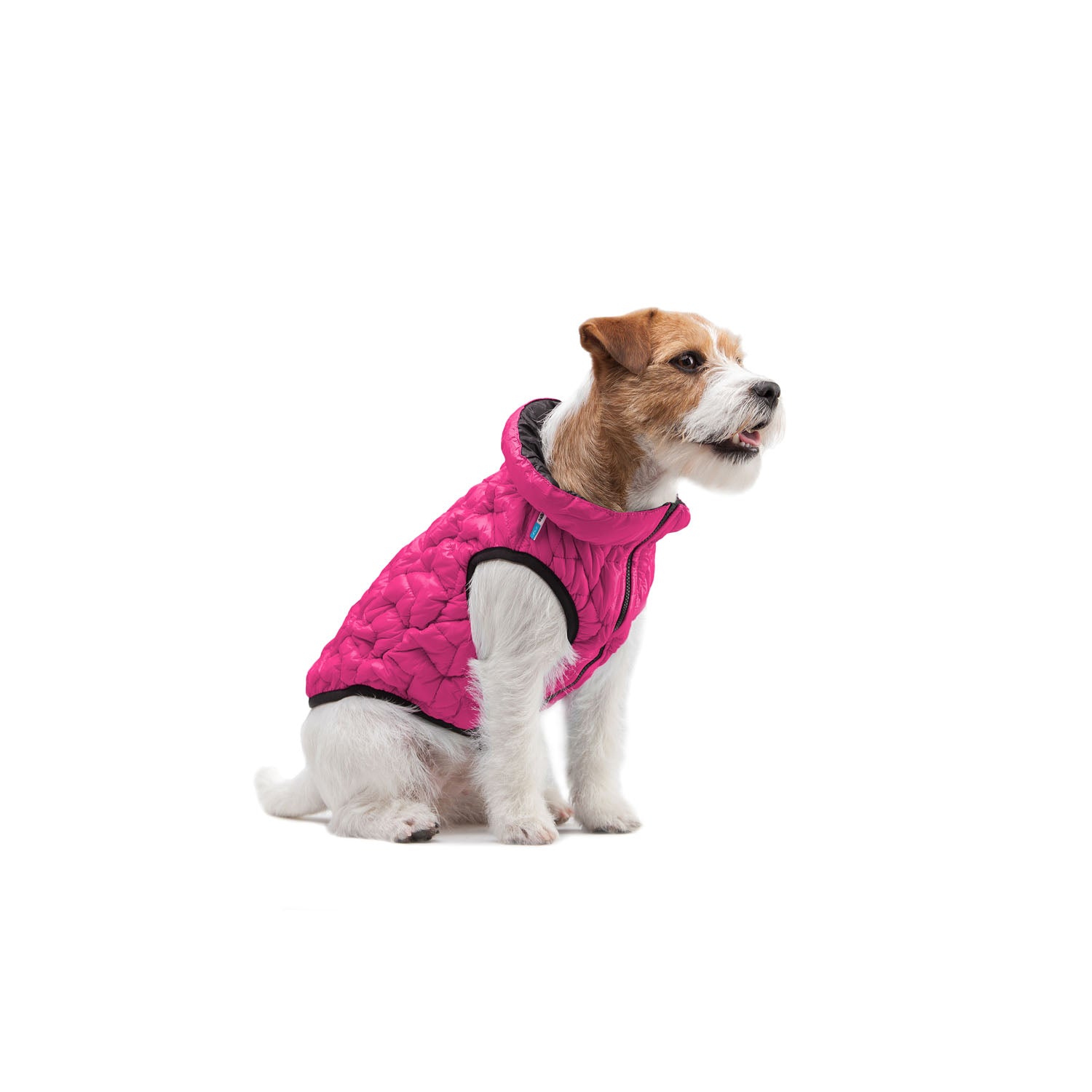 E-Doggy Kurtka Uno