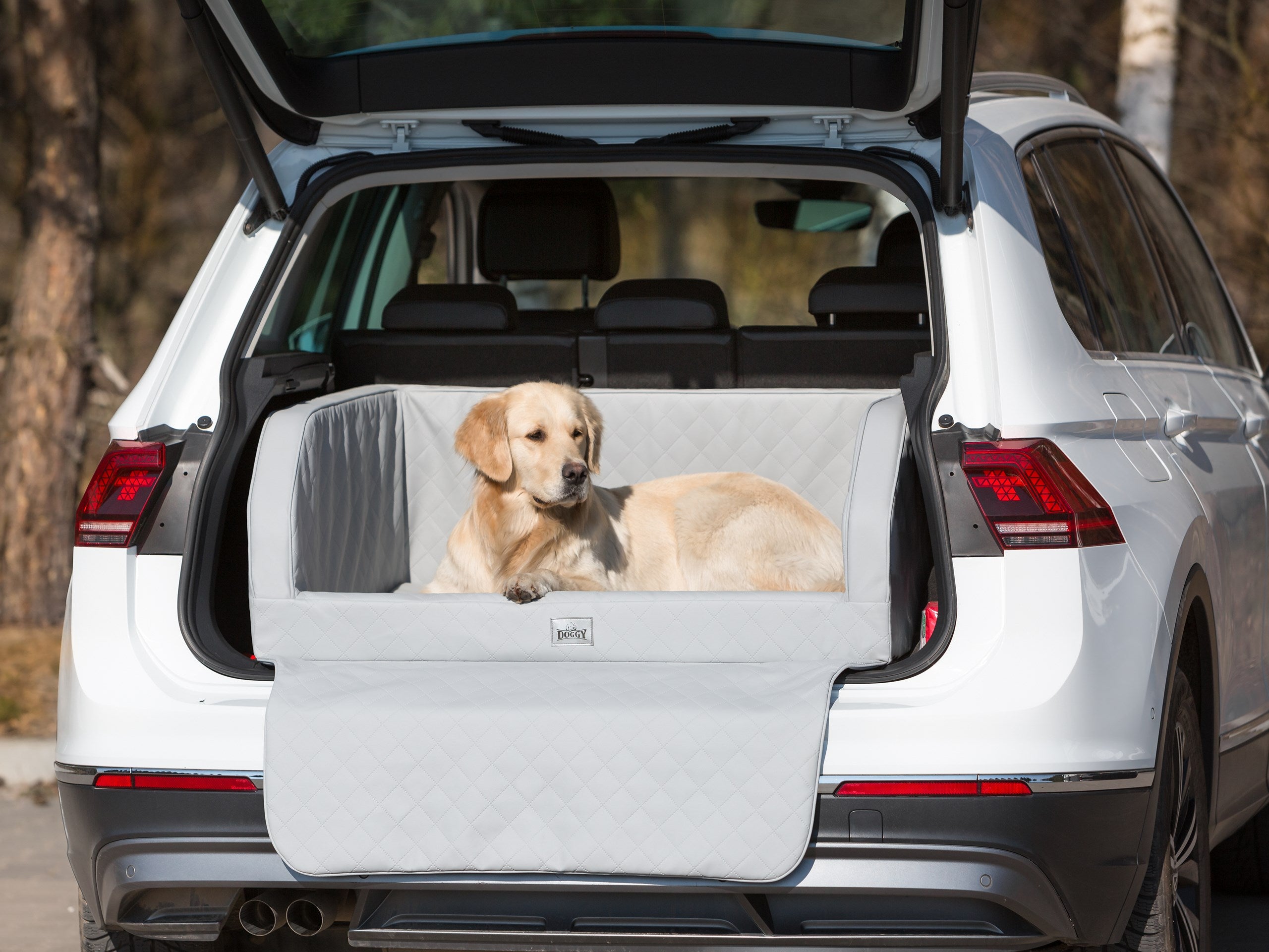 E-Doggy Transporter Rioo
