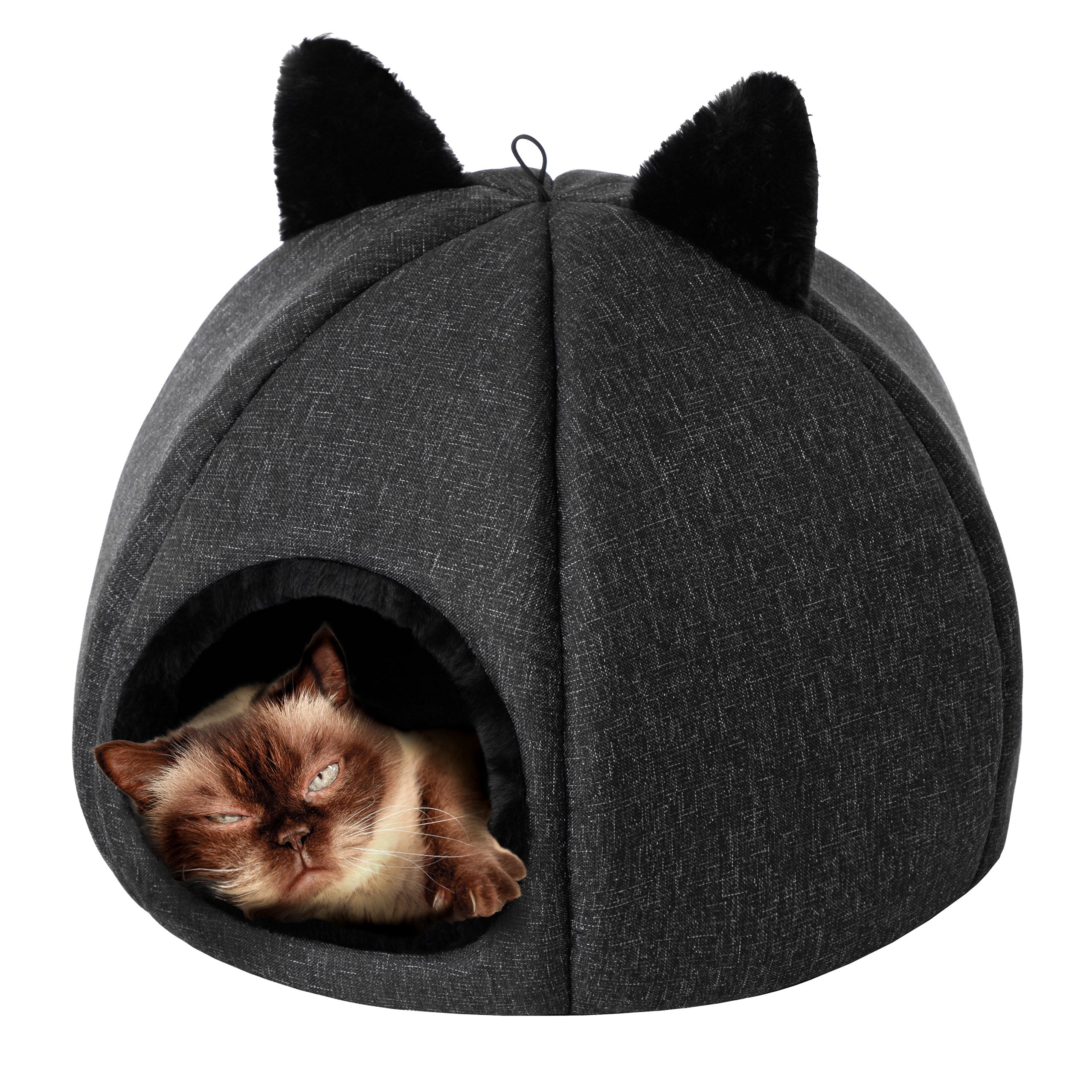 E-Doggy Budka Kitty