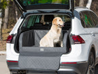 E-Doggy Transporter Rioo