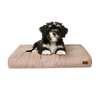 E-Doggy Materac Padoro
