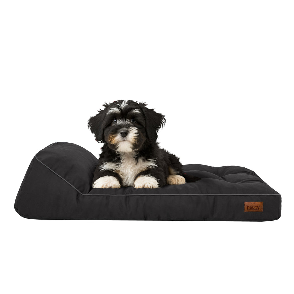 E-Doggy Materac Padoro