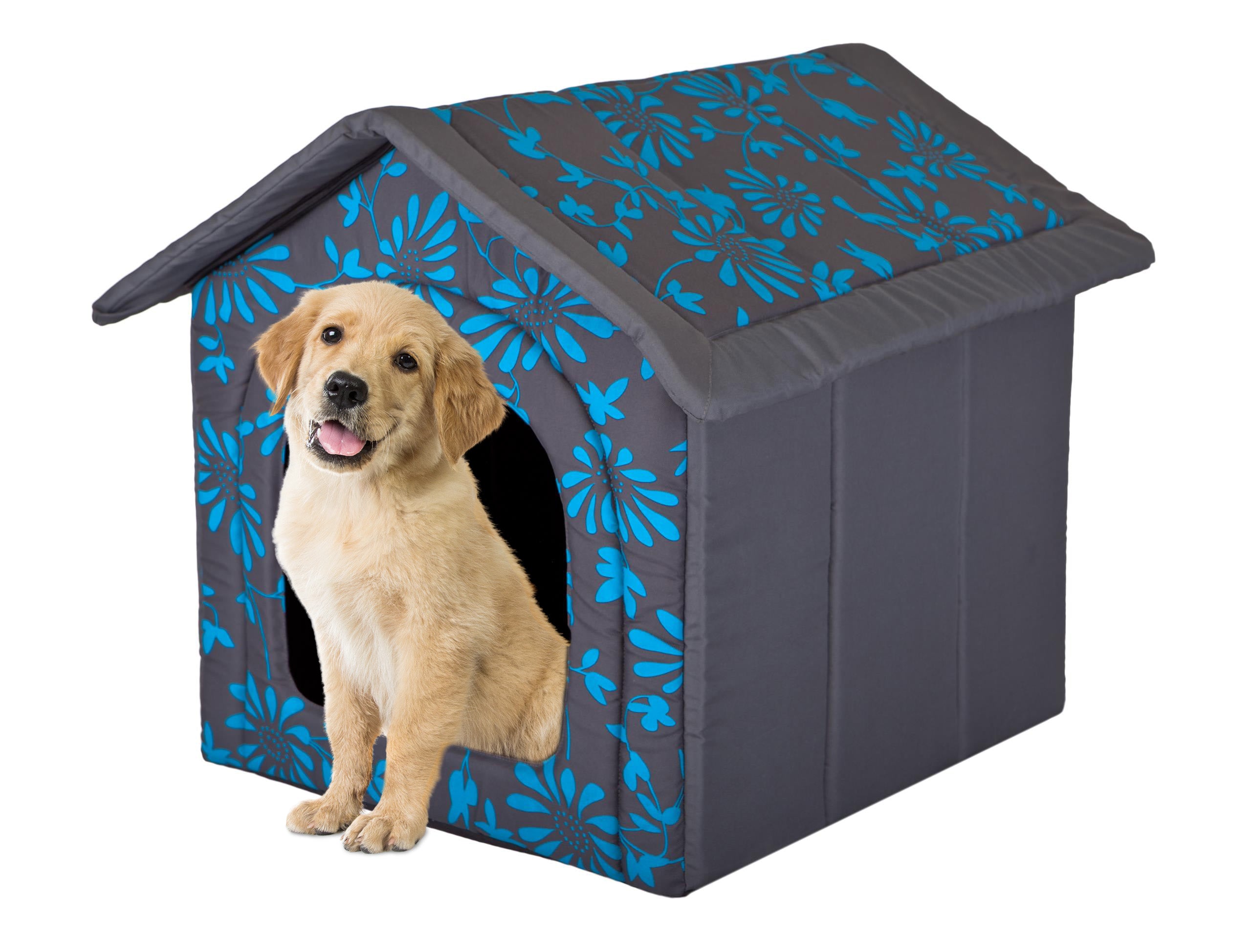 E-Doggy Buda Criboo