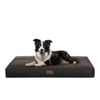E-Doggy Materac Denno