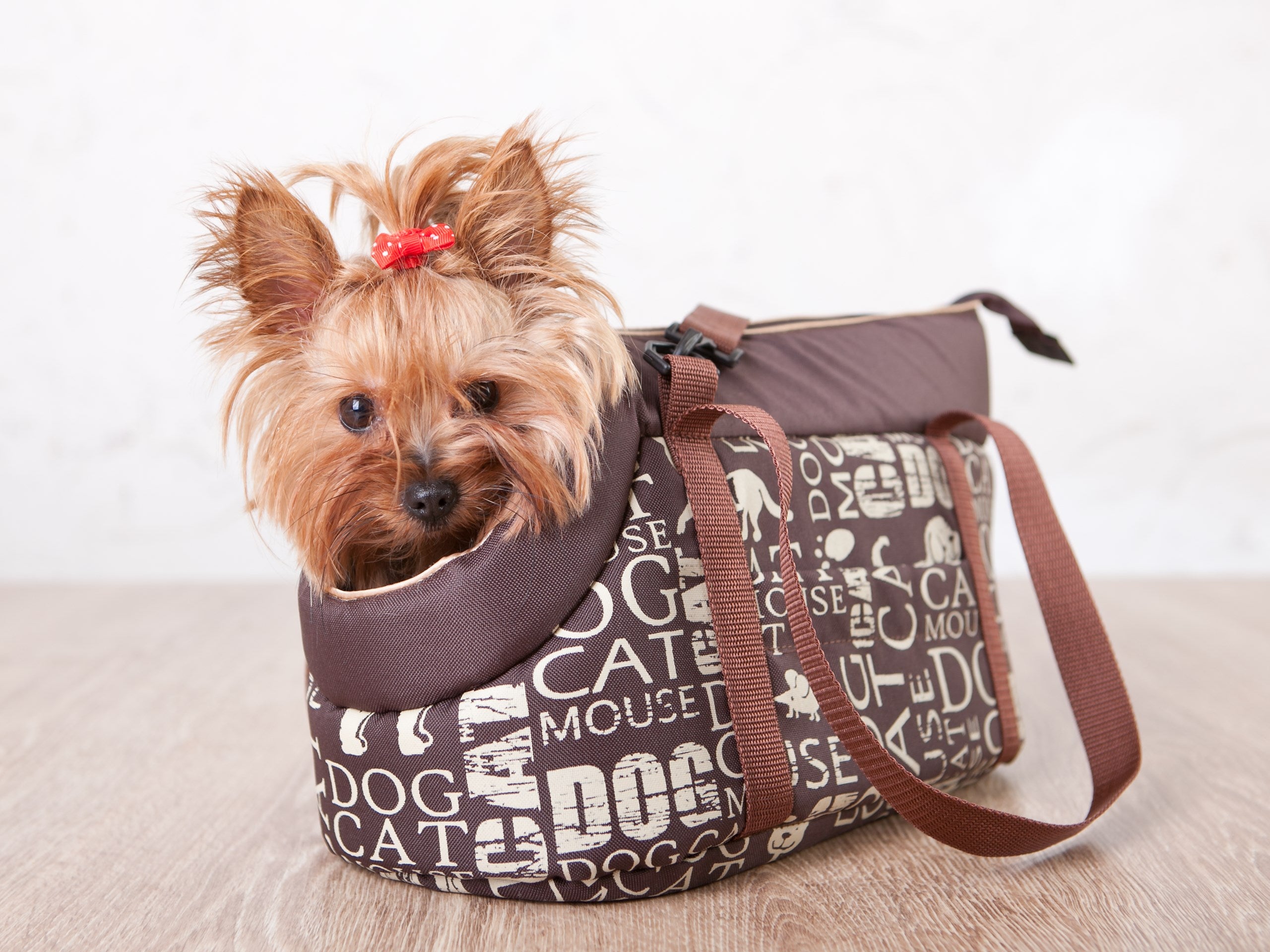 E-Doggy Torba Transportowa Urban
