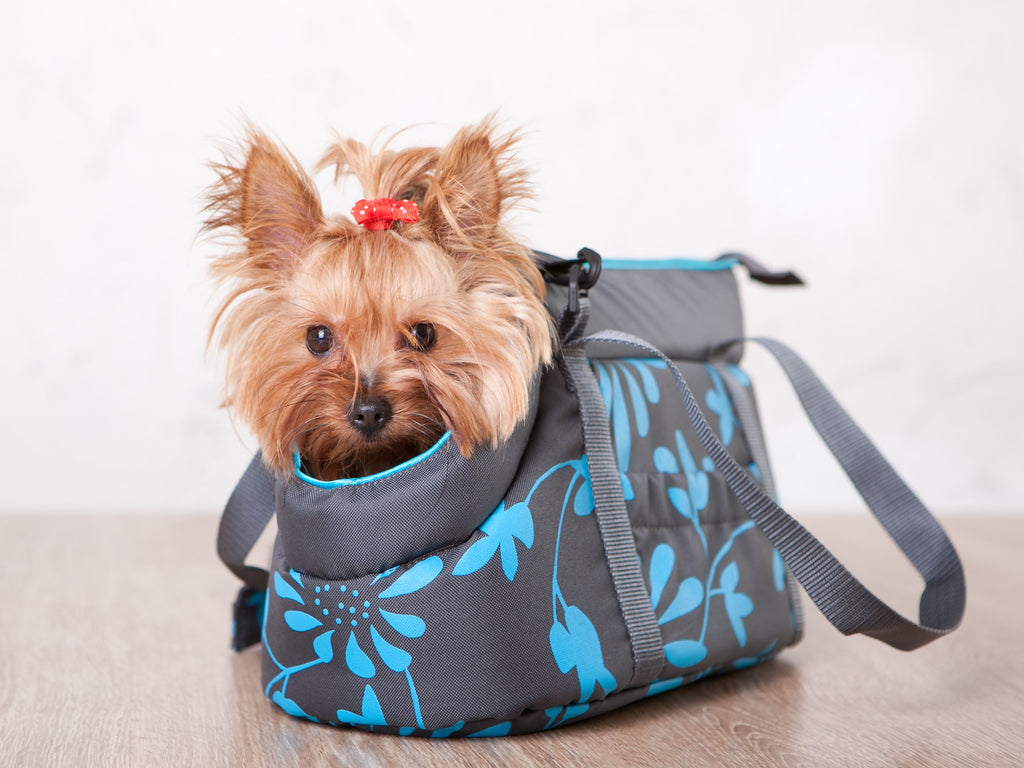 E-Doggy Torba Transportowa Urban